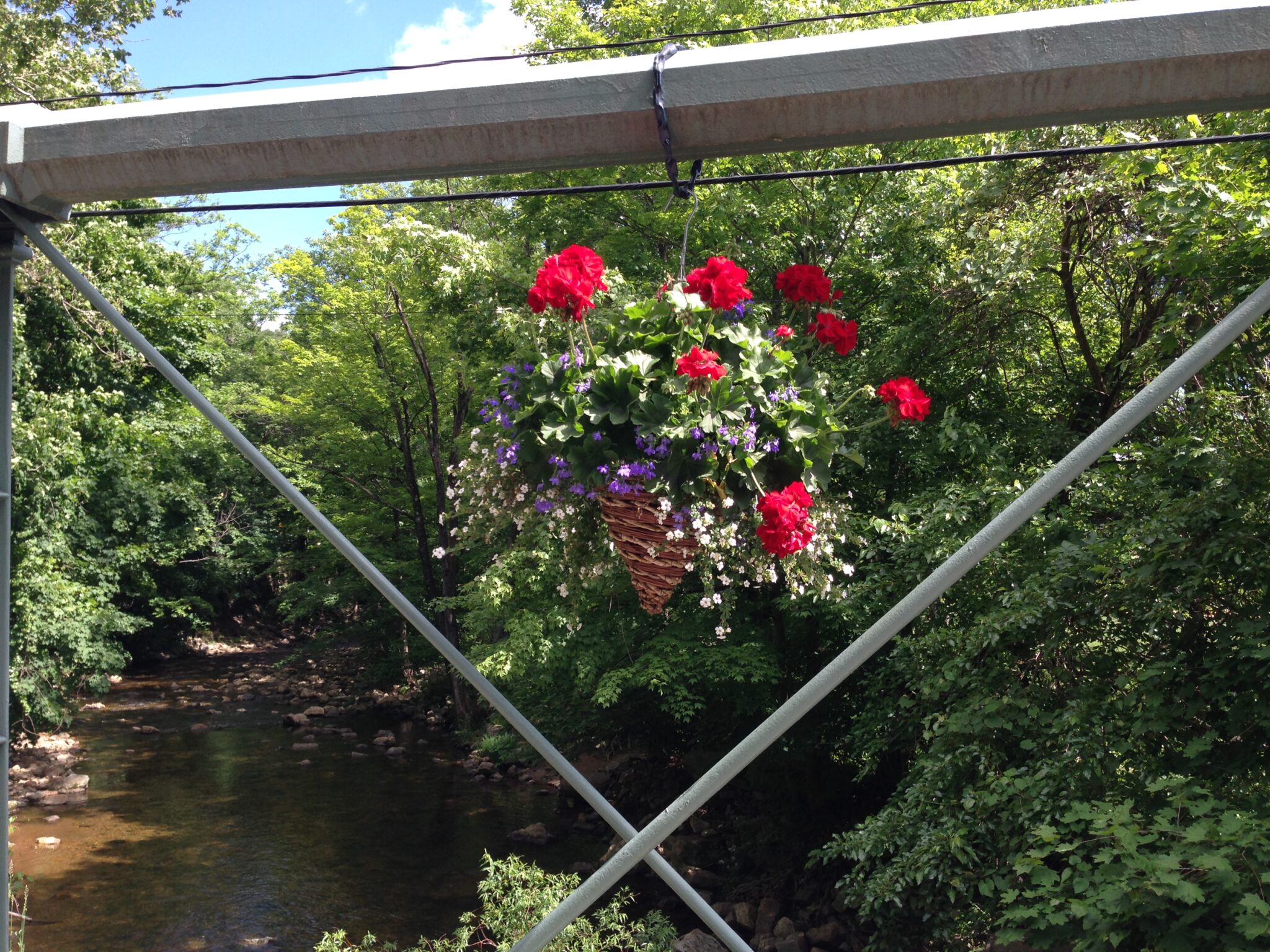 What We Do Glen Gardner Women's Club